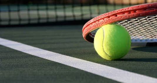 Passion and Precision: The Essence of Tennis